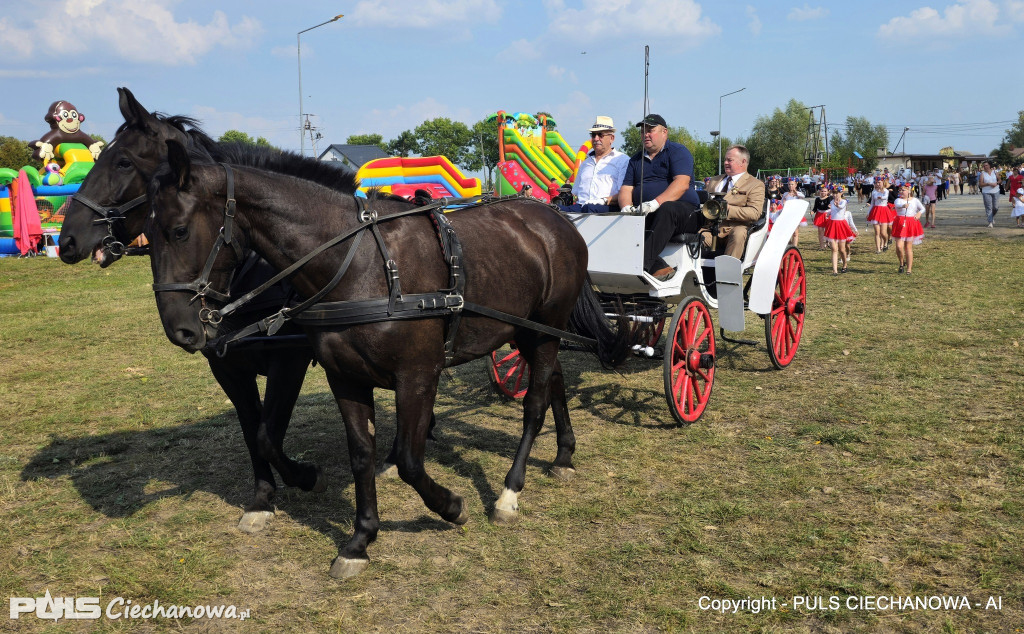 Opinogórskie Dożynki Gminne w Pałukach