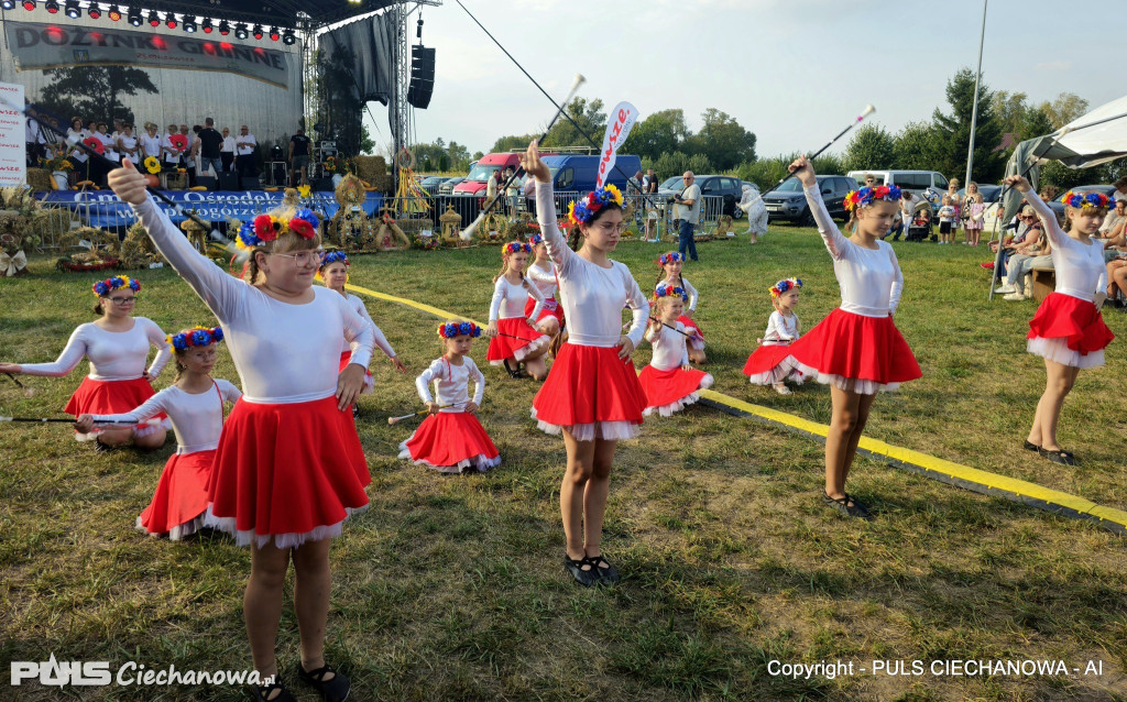 Opinogórskie Dożynki Gminne w Pałukach