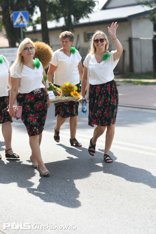 Dożynki Diecezji Płockiej i Gminy Sońsk