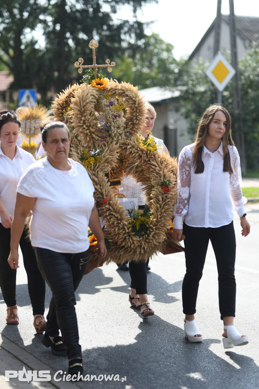 Dożynki Diecezji Płockiej i Gminy Sońsk