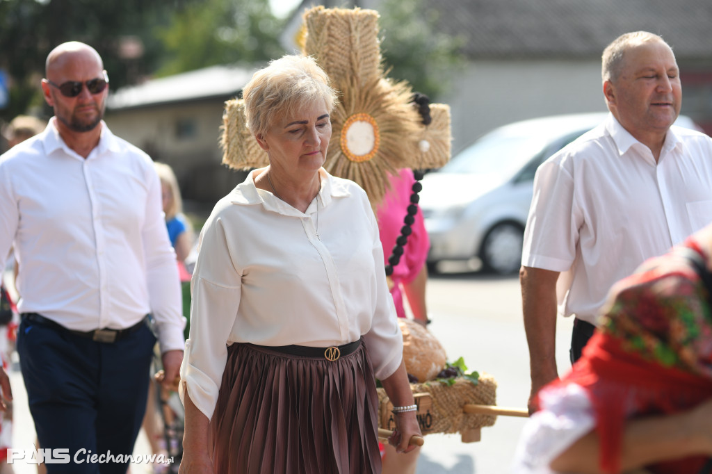 Dożynki Diecezji Płockiej i Gminy Sońsk