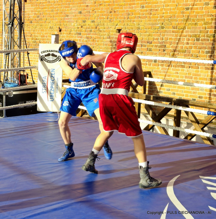 II Gala Boksu Olimpijskiego