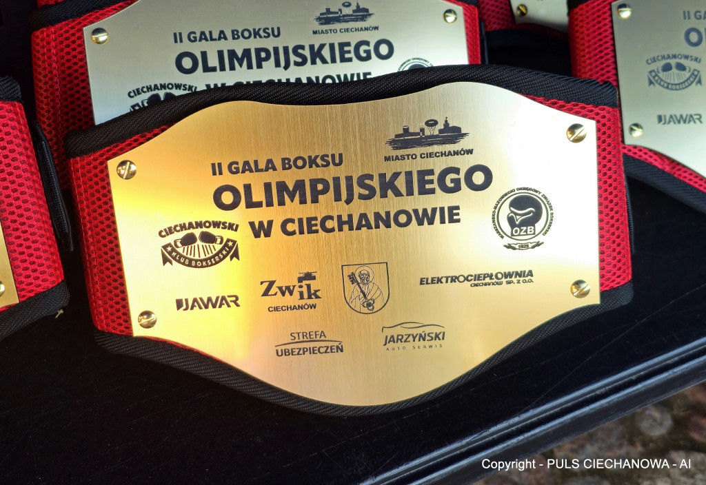 II Gala Boksu Olimpijskiego