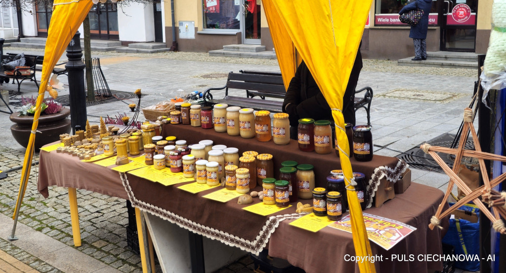 Na Ciechanowskim Jarmarku Bożonarodzeniowym