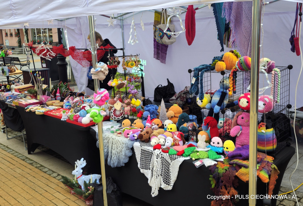 Na Ciechanowskim Jarmarku Bożonarodzeniowym