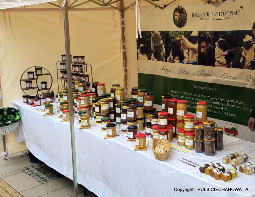 Na Ciechanowskim Jarmarku Bożonarodzeniowym