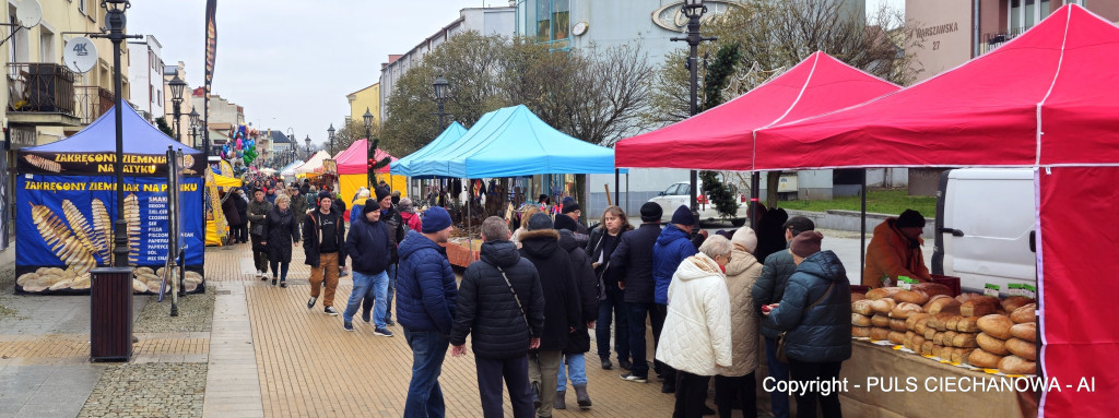 Na Ciechanowskim Jarmarku Bożonarodzeniowym