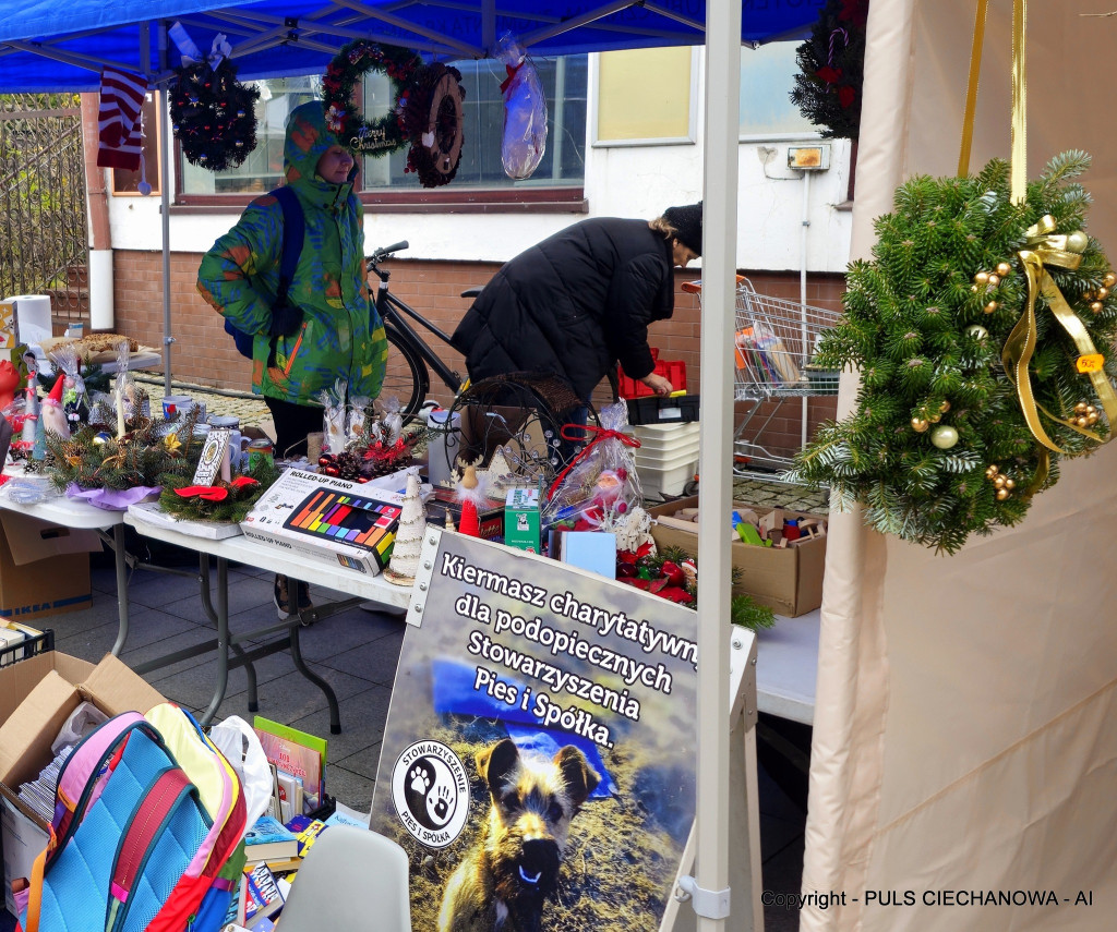 Na Ciechanowskim Jarmarku Bożonarodzeniowym