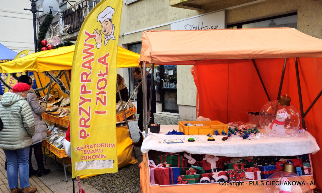 Na Ciechanowskim Jarmarku Bożonarodzeniowym