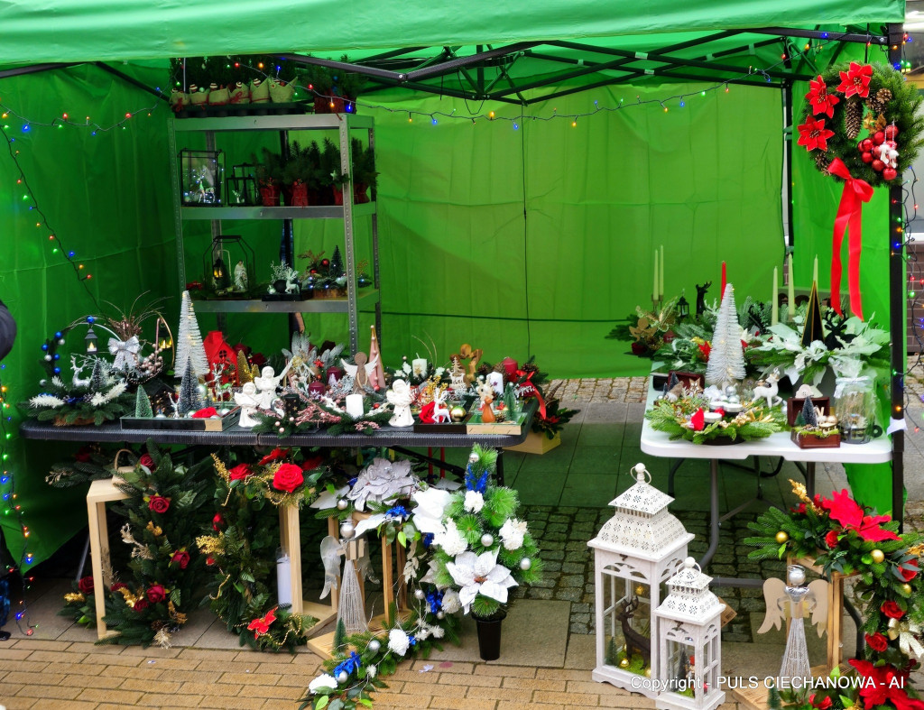 Na Ciechanowskim Jarmarku Bożonarodzeniowym