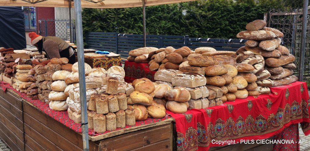 Na Ciechanowskim Jarmarku Bożonarodzeniowym