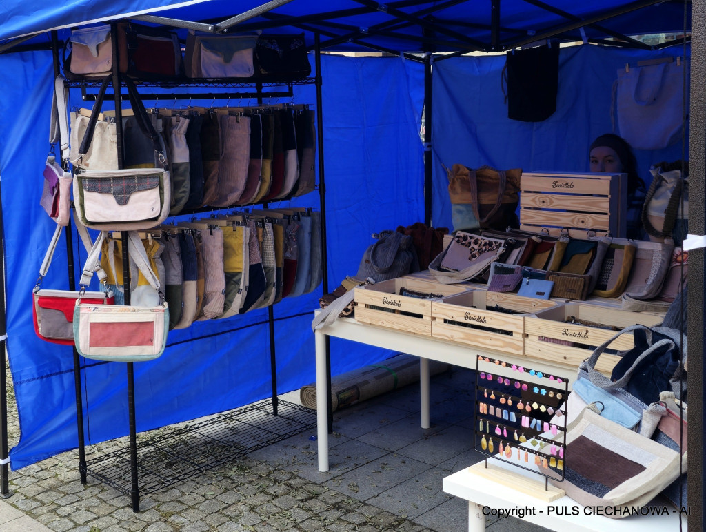 Na Ciechanowskim Jarmarku Bożonarodzeniowym