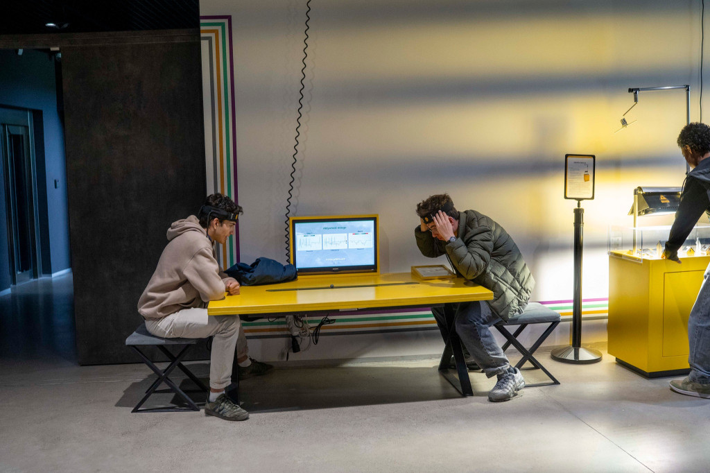 Młodzież z miast partnerskich w Ciechanowie