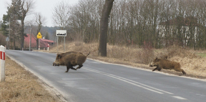 KPP w Przasnyszu
