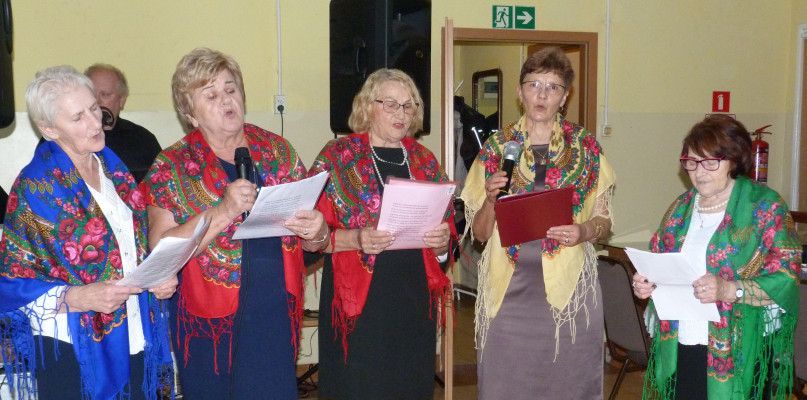 GOK Opinogóra