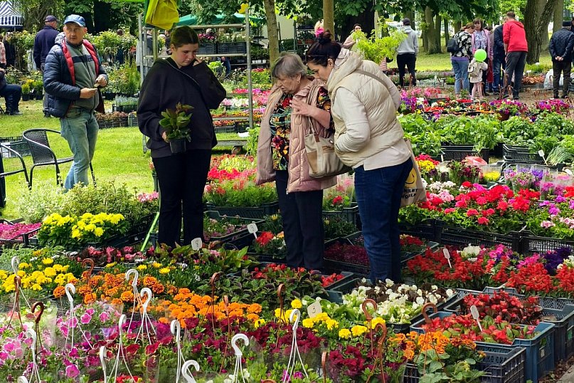„Kwiaty ogrodów” w Gołotczyźnie