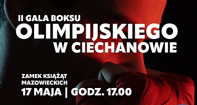 II Gala Boksu Olimpijskiego w Ciechanowie-26922