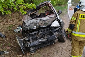 Poważny wypadek z udziałem łosia-27006