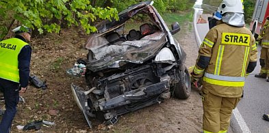 Poważny wypadek z udziałem łosia-27006