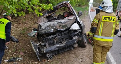 Poważny wypadek z udziałem łosia-27006