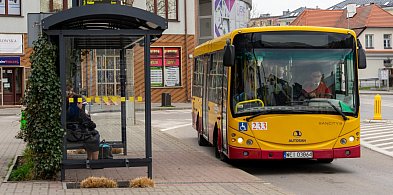 Bezpłatne autobusy ZKM w Noc Muzeów [rozkład jazdy]-27167