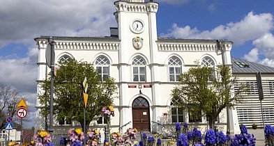 Wybory do Rady Seniorów. Zgłoś swojego kandydata-27644
