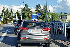 Egzamin na prawo jazdy będzie inny. Od 1 lipca nowe zasady-27954