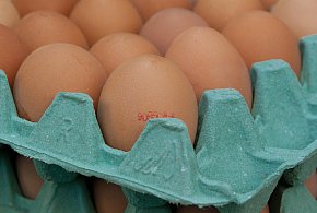 Salmonella na jajach znanej marki. Nie jedz, jeśli masz je w lodówce!-28086
