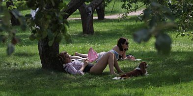 Już 15 minut na łonie przyrody wspiera psychikę-28571