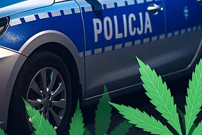 Ponad 100 gramów marihuany nie trafi na rynek-28850