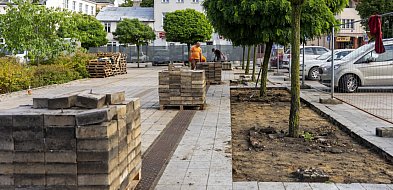 Więcej zieleni przed ratuszem - wystartowały prace-28888