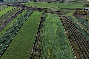 Kary dla gmin za wuzetki zostaną zawieszone-30056