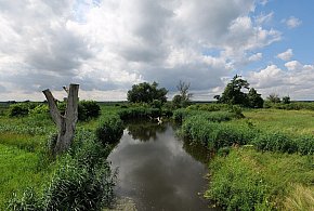 Co dalej z nowym parkiem narodowym? Minister klimatu zdradza plan po wecie-30236
