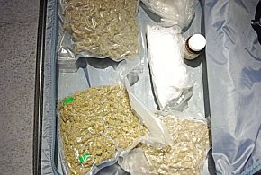 Funkcjonariusze zabezpieczyli 1,6 kg narkotyków, 393 tys. zł i 700 euro-30302