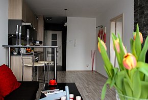 Rewolucja w wynajmie na doby. Nadchodzi koniec "wolnej amerykanki"-30658