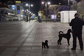 Dramatyczne dane GUS o depopulacji: ZMP apeluje do rządu o pilne działania-30918