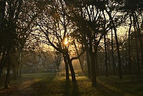 Nadchodzi najkrótszy dzień w 2025 roku. Sprawdź, kiedy przypadnie-30926