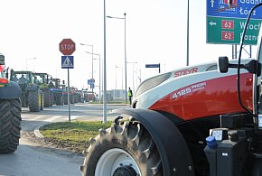 Rolnicy zapowiadają protest w całym kraju. Skala może zaskoczyć-31006