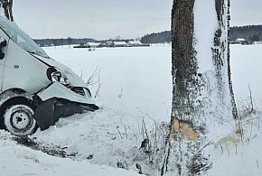 Zjechał na pobocze i uderzył w drzewo. Dwie osoby ranne-31057