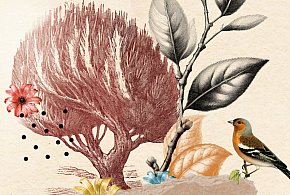 Rodzinna Niedziela w Muzeum-31186