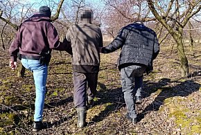 IV ogólnopolska akcja poszukiwawcza - działania mazowieckich policjantów