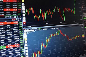 Ciechanowianka ofiarą oszustwa. Zgubiły ją szybkie i wysokie zyski