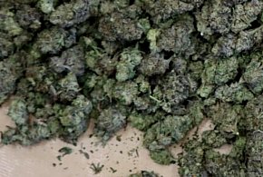 Kolejne uderzenie w przestępczość narkotykową