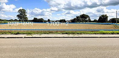 Działka budowlana - 1700 m2 - Kownaty-Borowe