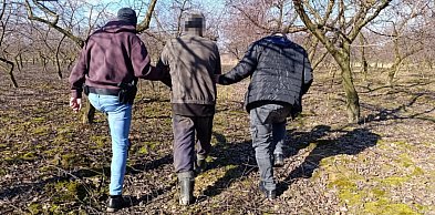 IV ogólnopolska akcja poszukiwawcza - działania mazowieckich policjantów