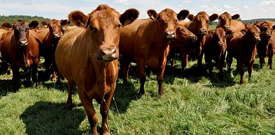 Dobrostan 2025 - ważne daty dla hodowców