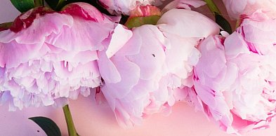 Życzenia od Arkadiusza Iwaniaka