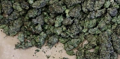 Kolejne uderzenie w przestępczość narkotykową