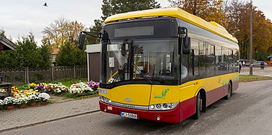 Autobusy ZKM w okresie Wszystkich Świętych-29942