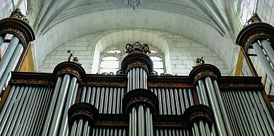 Wieczór organowy w ciechanowskiej farze-30504